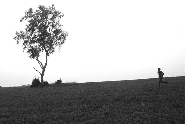 מה זה wellbeing לעצמאים ואיך להטמיע מושג זה בעסק?