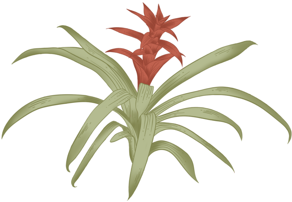 מתחילות שנה ביחד