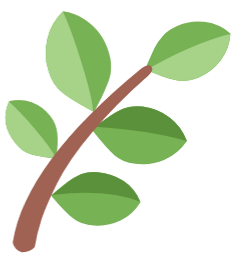 מתחילות שנה ביחד